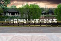 广场舞游牧时光花与影编舞