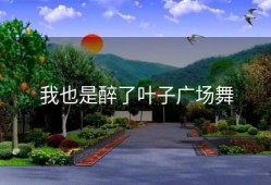 我也是醉了叶子广场舞