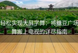 轻松实现大屏学舞：将糖豆广场舞搬上电视的详尽指南