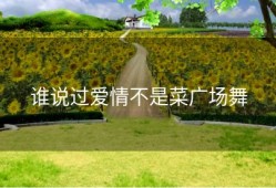 谁说过爱情不是菜广场舞
