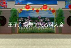 王子广场舞个人资料大全