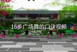 16步广场舞的口诀视频