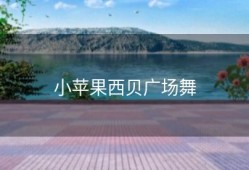 小苹果西贝广场舞