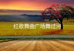 红歌舞曲广场舞过河