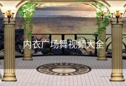 内衣广场舞视频大全