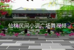 仙桃民间小调广场舞视频