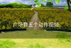 广场舞五个动作视频