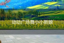 动动广场舞小小新娘