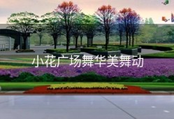 小花广场舞华美舞动