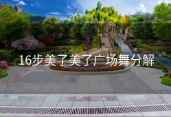 16步美了美了广场舞分解