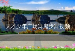 天才少年广场舞鬼步舞视频