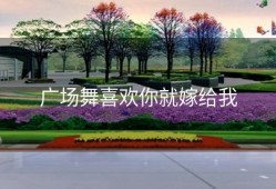 广场舞喜欢你就嫁给我