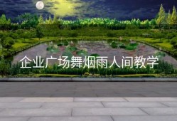 企业广场舞烟雨人间教学