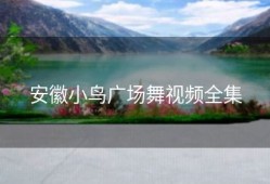 安徽小鸟广场舞视频全集