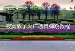 寂寞放了火广场舞弹跳教程