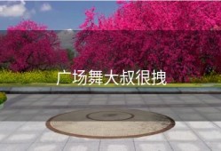 广场舞大叔很拽