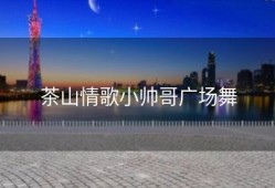 茶山情歌小帅哥广场舞