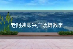 老阿姨即兴广场舞教学