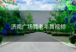 济南广场舞老年舞视频