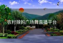 农村辣妈广场舞直播平台