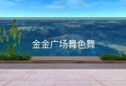 金金广场舞色舞