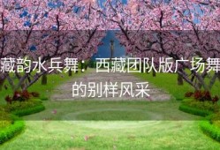 藏韵水兵舞：西藏团队版广场舞的别样风采