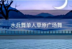 水兵舞单人草原广场舞