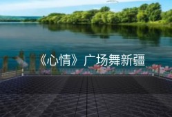 《心情》广场舞新疆