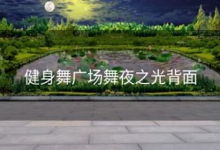 健身舞广场舞夜之光背面