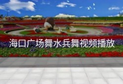 海口广场舞水兵舞视频播放