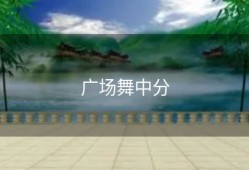 广场舞中分