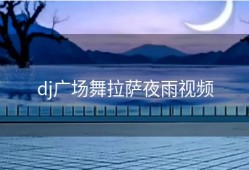 dj广场舞拉萨夜雨视频