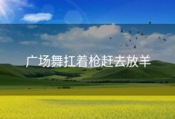 广场舞扛着枪赶去放羊