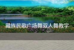 藏族民歌广场舞双人舞教学