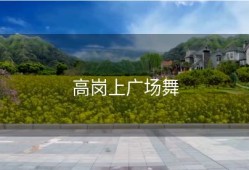 高岗上广场舞
