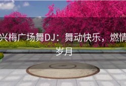 兴梅广场舞DJ：舞动快乐，燃情岁月