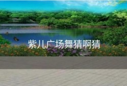 紫儿广场舞猜啊猜