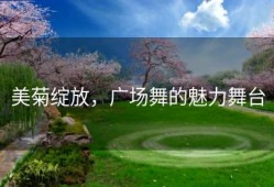 美菊绽放，广场舞的魅力舞台