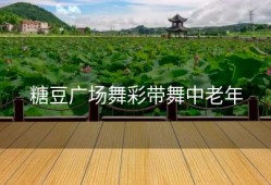 糖豆广场舞彩带舞中老年