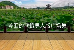 流泪的飞蛾男人版广场舞