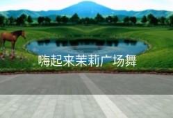 嗨起来茉莉广场舞