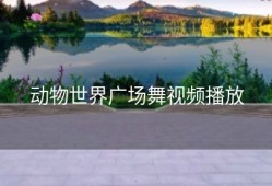 动物世界广场舞视频播放