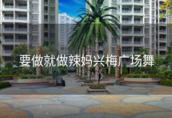 要做就做辣妈兴梅广场舞