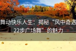 舞动快乐人生：揭秘“风中奇遇22步广场舞”的魅力