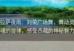拉萨夜雨：刘荣广场舞，舞动灵魂的旋律，感受西藏的神秘魅力