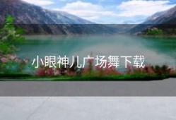 小眼神儿广场舞下载