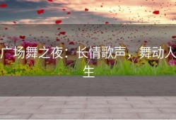 广场舞之夜：长情歌声，舞动人生