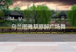 乌兰图雅草原醉广场舞