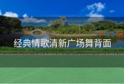 经典情歌清新广场舞背面