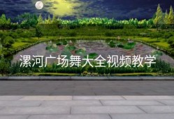 漯河广场舞大全视频教学